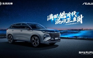 13万油电混动suv，30多万的混动suv