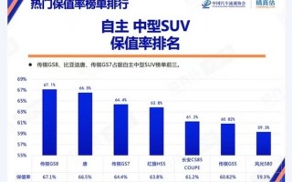 自主品牌suv保值率排行，红旗hs5三年保值率