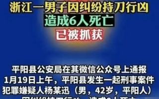 平阳命案事发村庄调查结果发布，平阳命案事发村庄调查结果