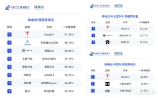 电动汽车保值率排行榜2020，2021年全国电动车保有量