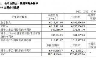 长城汽车半年报 pdf，长城汽车半年报 下载