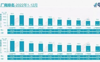 比亚迪2022年销量，比亚迪2021年销售量