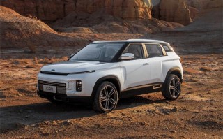 销量第一的小型suv，11月中大型suv销量