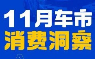 双十一网购消费洞察报告，2020新消费洞察报告