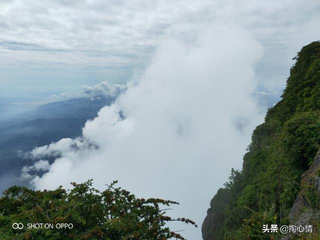 你手机中有哪些很棒很漂亮的照片？-第4张图片