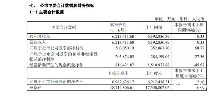 长城汽车半年报 pdf，长城汽车半年报 下载-第1张图片