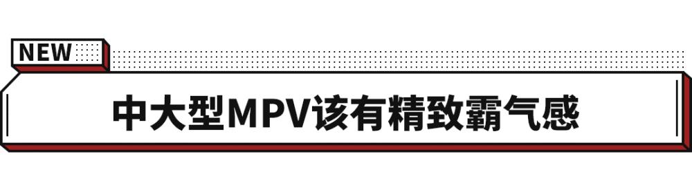 红旗新款mpv叫啥名字，红旗新mpv七座商务-第2张图片