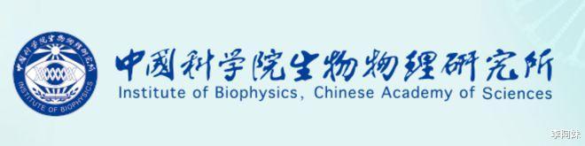 中科院物理所logo图片，中国科学院的logo-第3张图片