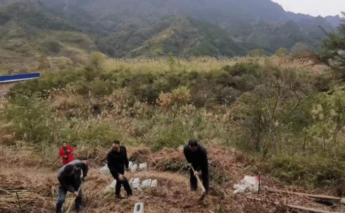 阴宅风水五法五招简述，阴宅风水五法五招简述图解-第1张图片