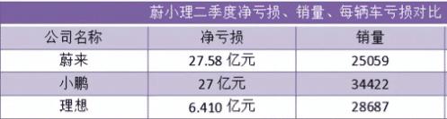 半年亏损超百亿的公司，半年亏损超百亿的企业-第2张图片