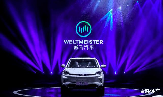 威马汽车 融资 估值，威马2021年产品规划-第3张图片