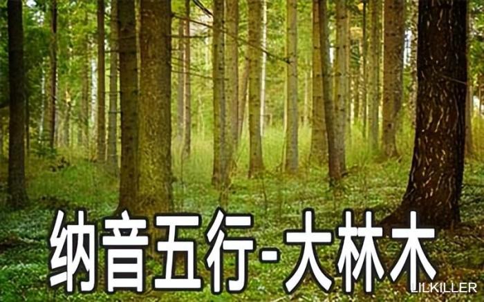 77年属蛇2023年运势，77年属蛇2023年的运程-第4张图片